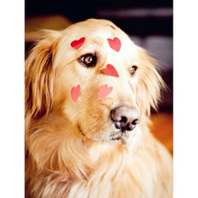 Load image into Gallery viewer, 5D Diamond Painting Dog Full Drill Round Diamond Embroidery Animal Cross Stitch Kits Mosaic Rhinestones Art Wall Decor - SallyHomey Life's Beautiful