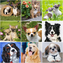 Load image into Gallery viewer, DIY 5D Diamond Painting Dog Animal Diamond Embroidery Sale Rhinestone Picture Mosaic Cross Stitch Paintings Wall Sticker Decor