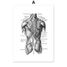 Load image into Gallery viewer, Black And White Brain Heart Skull kidney Anatomy Wall Art Canvas Painting Nordic Posters And Prints Wall Pictures Office Decor - SallyHomey Life's Beautiful
