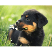 Load image into Gallery viewer, 5D Diamond Painting Dog Cute Pet Cross Stitch Animal Diamond Embroidery Mosaic Full Round Drill Rhinestone Decor Home - SallyHomey Life's Beautiful