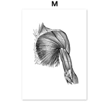 Load image into Gallery viewer, Black And White Brain Heart Skull kidney Anatomy Wall Art Canvas Painting Nordic Posters And Prints Wall Pictures Office Decor - SallyHomey Life's Beautiful