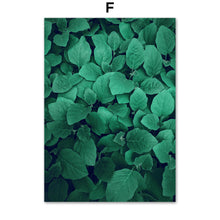 Load image into Gallery viewer, Fresh Cactus Mountain Leaf Terraced Field Wall Art Canvas Painting Nordic Posters And Prints Wall Pictures For Living Room Decor - SallyHomey Life's Beautiful