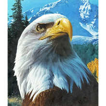 Load image into Gallery viewer, Diamond Embroidery Animals 5D Diamond Painting Full Round Drill Eagle Mosaic Bird Picture of Rhinestone Cross Stitch Home Decor