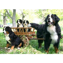 Load image into Gallery viewer, DIY 5D Diamond Painting Bernese Mountain Dog Diamond Embroidered Cross Stitch Kit Animal Mosaic Full Round Rhinestone Decor Home - SallyHomey Life's Beautiful