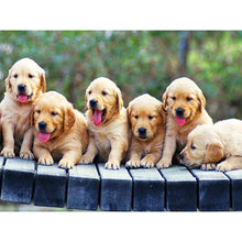 Load image into Gallery viewer, DIY 5D Diamond Painting Animal Diamond Embroidery Golden Retriever Dog Cross Stitch Full Round Drill Picture Mosaic Rhinestone - SallyHomey Life's Beautiful