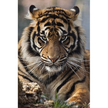 Load image into Gallery viewer, 5D DIY Diamond Painting Tiger Cross Stitch Full Round Drill Mosaic Animal Diamond Embroidery Manual Art Gift Home Decor Wall - SallyHomey Life's Beautiful