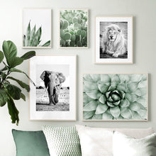 Load image into Gallery viewer, Lion Elephant Leopard Tropical Plant Wall Art Canvas Painting Nordic Posters And Prints Wall Pictures For Living Room Home Decor - SallyHomey Life's Beautiful