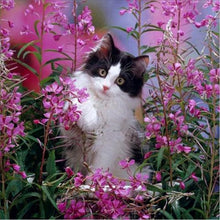 Load image into Gallery viewer, DIY 5D Diamond Painting Cat Mosaic Animal Cross Stitch Kit Full Round Drill Diamond Embroidery Rhinestone Art Wall Sticker Decor