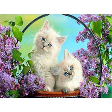 Load image into Gallery viewer, 5D Diamond Painting Cross Stitch Full Round Drill Lovely Cat Diamond Embroidery Mosaic DIY Cross Stitch Kits Wall Art