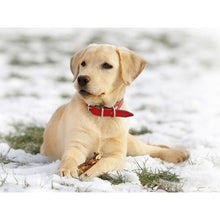 Load image into Gallery viewer, DIY 5D Diamond Painting Golden Retriever Dog Diamond Embroidery Cross Stitch Kits Animal Mosaic Full Round Rhinestone Home Decor - SallyHomey Life's Beautiful