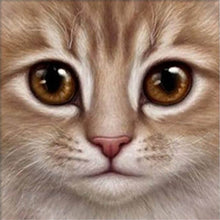 Load image into Gallery viewer, DIY 5D Diamond Painting Cat Face Animal Mosaic Diamond Embroidery Cross Stitch Full Round Rhinestone Art Wall Sticker Home Decor - SallyHomey Life's Beautiful