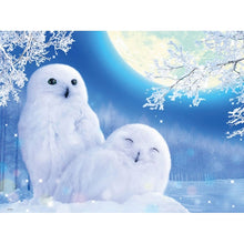 Load image into Gallery viewer, DIY Eagle 5D Diamond Painting Full Round Drill Owl Diamond Embroidery Animal Mosaic Rhinestones Cross Stitch Art Wall Home Decor - SallyHomey Life's Beautiful