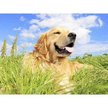 Load image into Gallery viewer, DIY 5D Diamond Painting Dog Diamond Embroidery Golden Retriever Dogs Animal Mosaic Cross Stitch Full Round Rhinestone Child Gift - SallyHomey Life's Beautiful