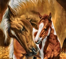 Load image into Gallery viewer, DIY 5D Diamond Painting Horse Full Round Diamond Embroidery Animal Mosaic Picture Cross Stitch Rhinestone Handmade Home Decor - SallyHomey Life's Beautiful