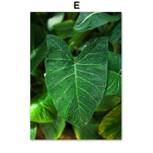 Load image into Gallery viewer, Fresh Green Lotus Leaf Wall Art Canvas Painting Nordic Posters And Prints Wall Pictures For Living Room Scandinavian Home Decor - SallyHomey Life's Beautiful