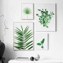 Load image into Gallery viewer, Nordic Monstera Eucalyptus Palm leaf Wall Art Print Canvas Painting Nordic Posters And Prints Wall Pictures For Living Room - SallyHomey Life's Beautiful