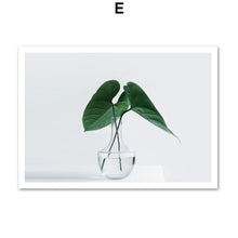 Load image into Gallery viewer, Tropical Banana Leaf Rubber Tree Wall Art Canvas Painting Nordic Posters And Prints Wall Pictures For Living Room Home Decor - SallyHomey Life's Beautiful