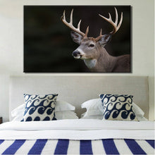 Load image into Gallery viewer, Modern Animals Posters and Prints Wall Art Canvas Painting Deer Pictures - SallyHomey Life's Beautiful