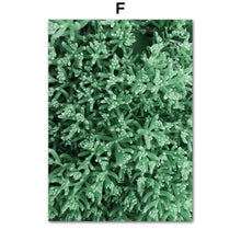 Load image into Gallery viewer, Nature Green Leaves Succulent Plants Wall Art Canvas Painting Nordic Posters And Prints Wall Pictures For Living Room Decor - SallyHomey Life's Beautiful