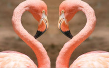 Load image into Gallery viewer, Animals Posters and Prints Wall Art Canvas Painting Beautiful Flamingos Decorative Pictures for Living Room Home Decor No Frame - SallyHomey Life's Beautiful