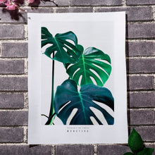 Load image into Gallery viewer, Fresh Green Monstera Cactus Leaves Plants Wall Art Canvas Painting Nordic Posters And Prints Wall Pictures For Living Room Decor - SallyHomey Life's Beautiful