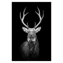 Load image into Gallery viewer, Canvas Painting Animal Wall Art Lion Elephant Deer Zebra Posters and Prints Wall Pictures for Living Room Decoration Home Decor - SallyHomey Life's Beautiful