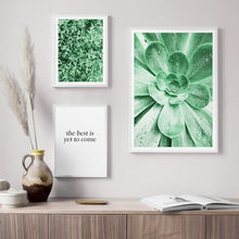 Load image into Gallery viewer, Nature Green Leaves Succulent Plants Wall Art Canvas Painting Nordic Posters And Prints Wall Pictures For Living Room Decor - SallyHomey Life's Beautiful