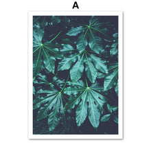 Load image into Gallery viewer, Cypress Leaf Aloe Succulent Plant Feather Wall Art Canvas Painting Nordic Posters And Prints Wall Pictures For Living Room Decor - SallyHomey Life's Beautiful