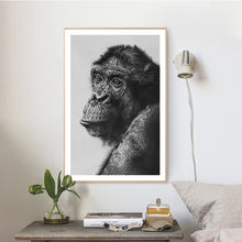 Load image into Gallery viewer, Modern Animals Wall Posters and Prints Wall Art Canvas Painting Cute Gorillas Decorative Paintings For Living Room Home Decor - SallyHomey Life's Beautiful
