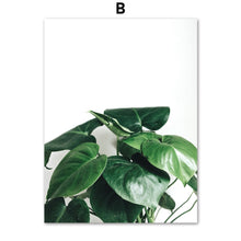 Load image into Gallery viewer, Green Fresh Ferns Leaf Indian Rubber Tree Wall Art Canvas Painting Nordic Posters And Prints Wall Pictures For Living Room Decor - SallyHomey Life's Beautiful