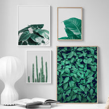 Load image into Gallery viewer, Fresh Cactus Mountain Leaf Terraced Field Wall Art Canvas Painting Nordic Posters And Prints Wall Pictures For Living Room Decor - SallyHomey Life's Beautiful
