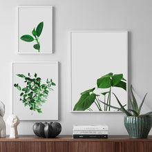 Load image into Gallery viewer, Nordic Monstera Eucalyptus Palm leaf Wall Art Print Canvas Painting Nordic Posters And Prints Wall Pictures For Living Room - SallyHomey Life's Beautiful