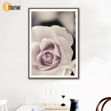 Load image into Gallery viewer, Fresh Pink Flowers Rose Plant Wall Art Canvas Painting Nordic Posters And Prints Wall Pictures For Living Room Bedroom Decor - SallyHomey Life's Beautiful