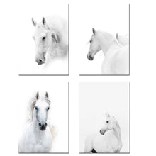 Load image into Gallery viewer, Animal White Horse Wall Art Canvas Posters and Prints Painting Wall Pictures for Living Room Modern Home Decor - SallyHomey Life's Beautiful