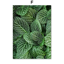 Load image into Gallery viewer, Fresh Green Lotus Leaf Wall Art Canvas Painting Nordic Posters And Prints Wall Pictures For Living Room Scandinavian Home Decor - SallyHomey Life's Beautiful