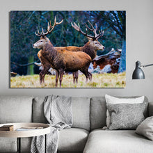 Load image into Gallery viewer, Modern Animals Posters and Prints Wall Art Canvas Painting Panda Lion Leopard Deer Tiger Horse Pictures for Living Room Decor - SallyHomey Life's Beautiful