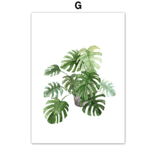 Load image into Gallery viewer, Tropical Potted Plant Monstera Cactus Wall Art Canvas Painting Nordic Posters And Prints Wall Pictures For Living Room Decor - SallyHomey Life's Beautiful
