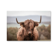 Load image into Gallery viewer, Scandinavian Poster Nordic Print Deer Horse Cattle Animal Wall Art Canvas Painting Wild Field Nature Picture Living Room Decor - SallyHomey Life's Beautiful