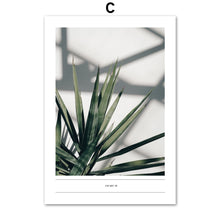 Load image into Gallery viewer, Tropical Flesh Keel Cactus Palm Leaf Wall Art Canvas Painting Nordic Posters And Prints Wall Pictures For Living Room Home Decor - SallyHomey Life's Beautiful