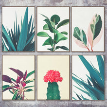 Load image into Gallery viewer, Tropical Cactus Monstera Aloe Leaf Wall Art Canvas Painting Nordic Posters And Prints Plant Wall Pictures For Living Room Decor - SallyHomey Life's Beautiful