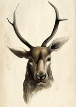 Load image into Gallery viewer, Modern Animal Painting Cute Deers Canvas Painting Hand-Draw Print Poster Wall Picture On Canvas for Home Decoration Frameless - SallyHomey Life's Beautiful