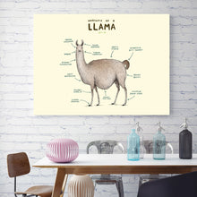 Load image into Gallery viewer, Flamingo Fox Sloth Sheep Animal Anatomy Wall Art Canvas Painting Nordic Posters And Prints Wall Pictures For Living Room Decor - SallyHomey Life's Beautiful