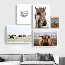 Load image into Gallery viewer, Scandinavian Poster Nordic Print Deer Horse Cattle Animal Wall Art Canvas Painting Wild Field Nature Picture Living Room Decor - SallyHomey Life's Beautiful