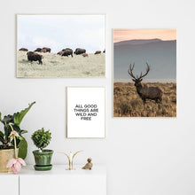Load image into Gallery viewer, Scandinavian Poster Nordic Print Deer Horse Cattle Animal Wall Art Canvas Painting Wild Field Nature Picture Living Room Decor - SallyHomey Life's Beautiful