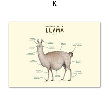 Load image into Gallery viewer, Flamingo Fox Sloth Sheep Animal Anatomy Wall Art Canvas Painting Nordic Posters And Prints Wall Pictures For Living Room Decor - SallyHomey Life's Beautiful