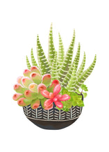 Load image into Gallery viewer, Tropical Succulents Cactus Aloe Flower Wall Art Canvas Painting Nordic Posters And Prints Wall Pictures For Living Room Decor - SallyHomey Life's Beautiful