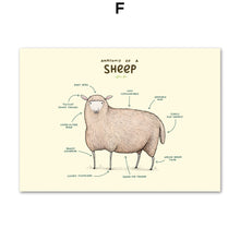 Load image into Gallery viewer, Flamingo Fox Sloth Sheep Animal Anatomy Wall Art Canvas Painting Nordic Posters And Prints Wall Pictures For Living Room Decor - SallyHomey Life's Beautiful