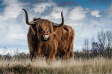 Load image into Gallery viewer, Modern Animals Posters and Prints Wall Art Canvas Painting Aritistic Yak and Cock Picture Wall Decor for Living Room Home Decor - SallyHomey Life's Beautiful