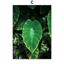 Load image into Gallery viewer, Fresh Green Lotus Leaf Wall Art Canvas Painting Nordic Posters And Prints Wall Pictures For Living Room Scandinavian Home Decor - SallyHomey Life's Beautiful