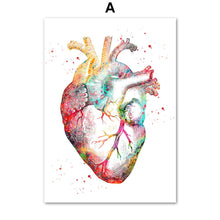 Load image into Gallery viewer, Anatomy Art Human Heart Brain Lungs Wall Art Canvas Painting Nordic Posters And Prints Wall Pictures For Doctor Office Decor - SallyHomey Life's Beautiful